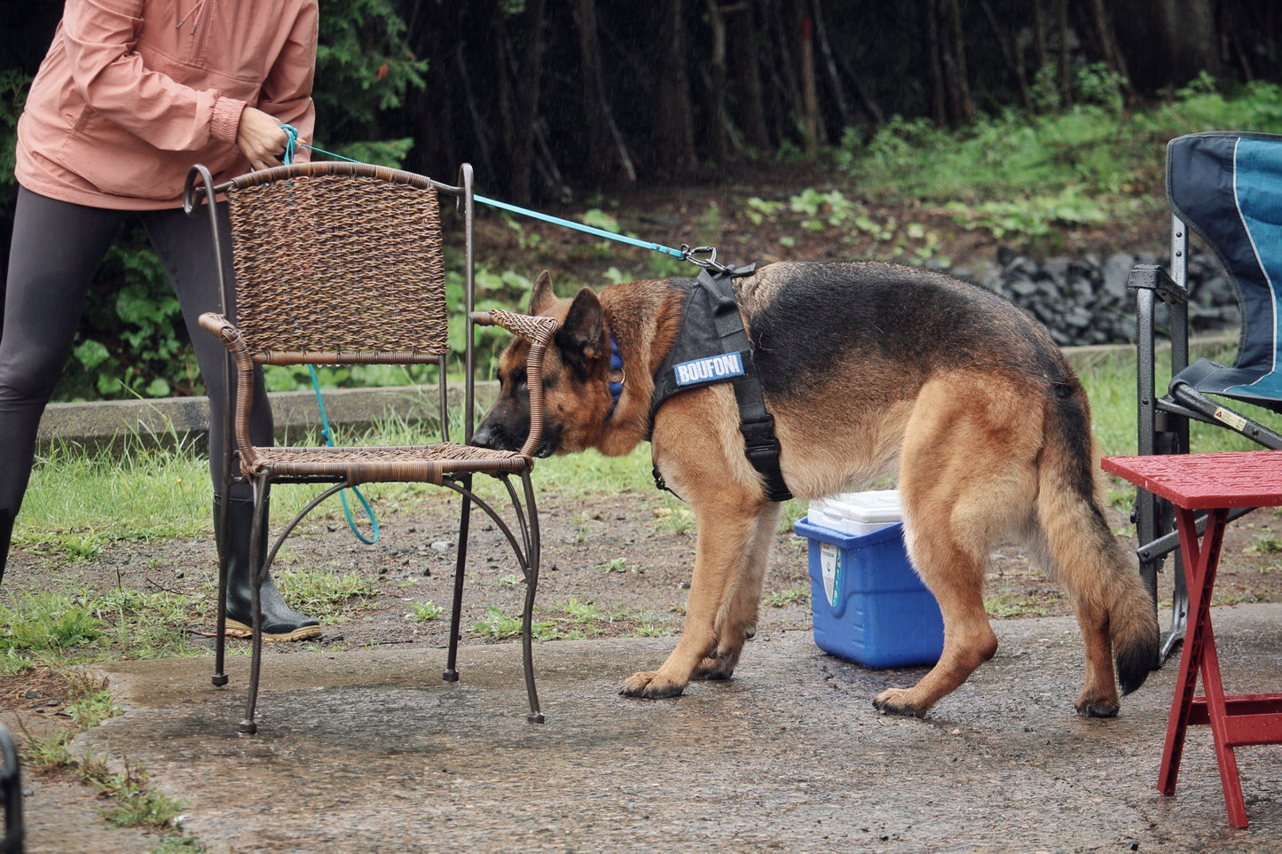 Atelier Stratégie de recherche (working)