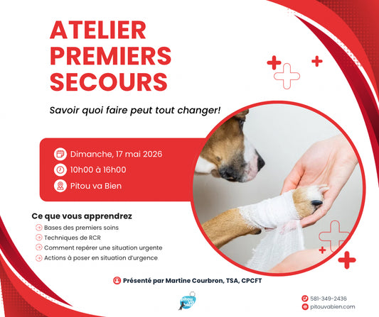 Atelier premiers secours