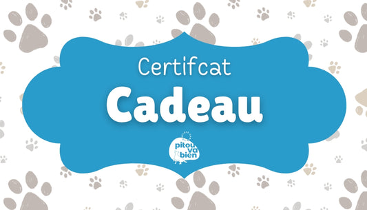Carte Cadeau