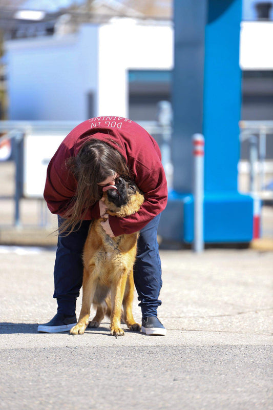 Focus et engagement!