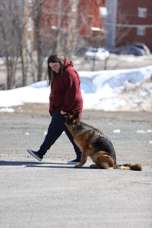Chiens réactifs, le comprendre et l'aider!